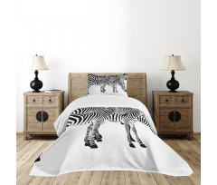 Wild Zebras Bedspread Set