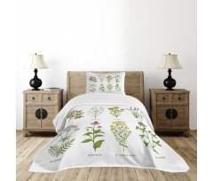 Natural Cosmetics Flowers Bedspread Set