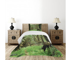 Roosevelt Elk in Park Bedspread Set