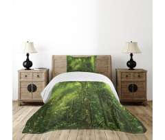 Sun Beams Tropic Forest Bedspread Set