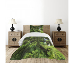 Rainforest Fall River Bedspread Set