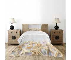 Sea Shells on Timber Bedspread Set