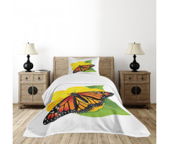 Moth Flower Bedspread Set