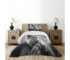 Close up Shot Ape Animal Bedspread Set