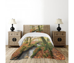 Misty Woods Cornwall Bedspread Set