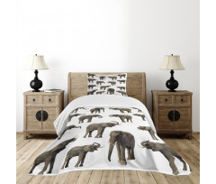 Elephants Tusk Ear Bedspread Set