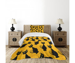 Black Cat Vintage Bedspread Set