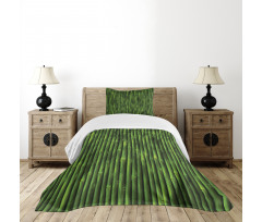 Tropical Bamboo Stems Bedspread Set