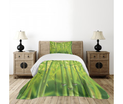 Bamboo Sprout Stem Forest Bedspread Set