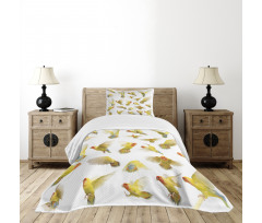 Peach Face Love Birds Bedspread Set