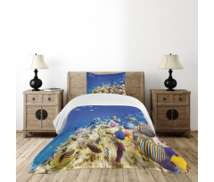 Caribbean Seascape Bedspread Set