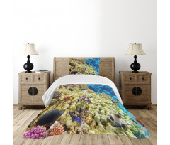 Sea Exotic Natural View Bedspread Set