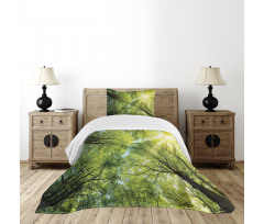 Romantic Beech Trees Bedspread Set