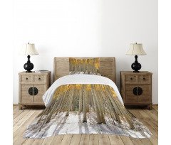 Aspen Tree Woods Scenery Bedspread Set