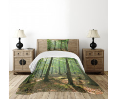 Morning Forest Farmhouse Bedspread Set