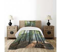 Sunbeams Serene Morning Bedspread Set