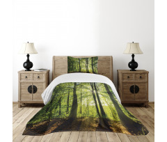 Sunny Forest Springtime Bedspread Set