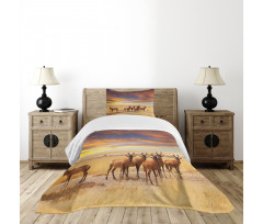 Tropical Animal Bedspread Set