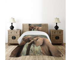 Safari Animals Savanna Bedspread Set