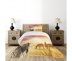 South Wild Zebra Bedspread Set