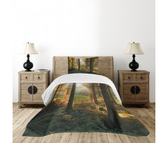 Sunset Dark Pine Trees Bedspread Set