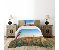 Sun in Desert Cactus Bedspread Set