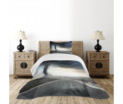 Black Tornado Funnel Gas Bedspread Set