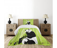 Panda in Bamboo Forest Bedspread Set