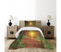 Pathway to Timberland Bedspread Set