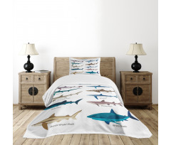 Cartoon Shark Types Wild Bedspread Set