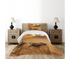 Dolphins Dusk Bedspread Set