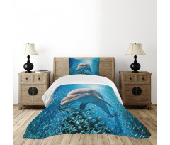 Dolphin in Ocean Marine Bedspread Set