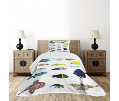 Marine Life Creatures Bedspread Set