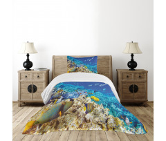 Aquatic Corals Bedspread Set