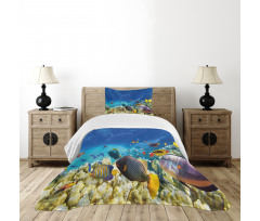 Ocean Animals Bedspread Set