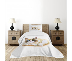 Grumpy Angry Cat Love Bedspread Set