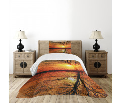 Sunset View with Trees Bedspread Set