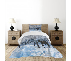 Winter Forest Theme Bedspread Set