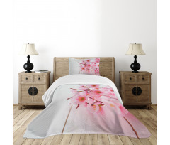 Cherry Blossom Petals Bedspread Set