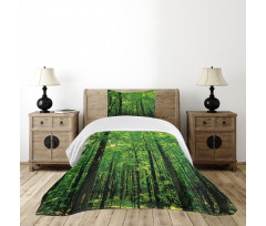 Woodland Tree Forest Sun Bedspread Set