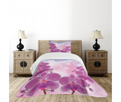 Exotic Orchid Flowers Bedspread Set