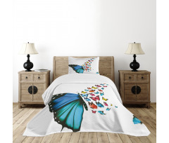 Concept Art Monarch Bedspread Set