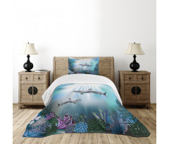 Sharks Coral Aquatic Bedspread Set