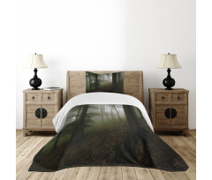 Mysterious Woods Foggy Bedspread Set
