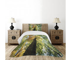 Forest Autumn Growth Eco Bedspread Set