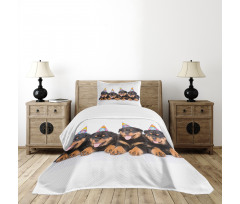 Birthday Dogs Hats Bedspread Set