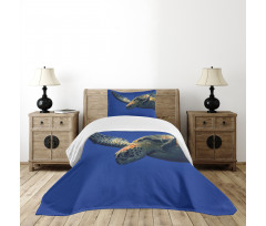Sea Animal Swimming Bedspread Set