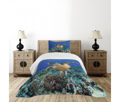 Cheloniidae Deep Ocean Bedspread Set