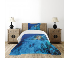 Oceanic Wildlife Bedspread Set