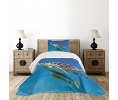 Fishes Swimming Ocean Bedspread Set